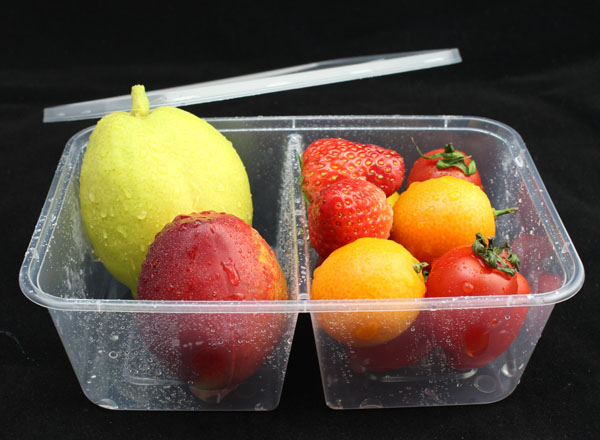 Rectangular Plastic microwave food container